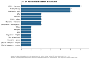 Kırklar Yaylası 1984 grafik 24.png