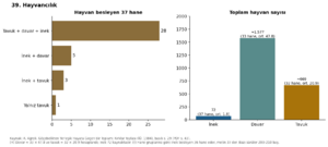 Kırklar Yaylası 1984 grafik 39.png