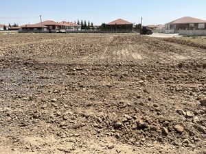 Omeranli Umut Ormani - 02 Arazinin Surulmesi.jpeg