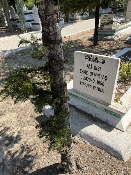 Dosya:Esme-Demirtas-Mezar-Tasi-1870-1950.jpg