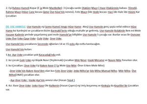 Xelikan'da Mola Camolî şeceresi notları 07.jpg