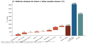 Kırklar Yaylası 1984 grafik 37.png