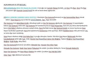Xelikan'da Mola Camolî şeceresi notları 06.jpg