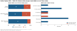Kırklar Yaylası 1984 tablo 059.png