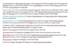 Xelikan'da Mola Camolî şeceresi notları 02.jpg