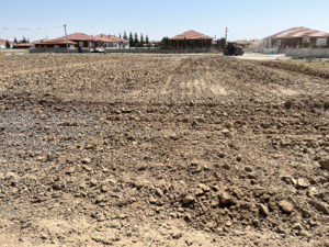 Miyawaki Omeranli 1 2022-08-04 Arazinin Surulmesi.png