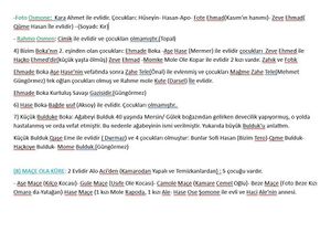 Xelikan'da Mola Camolî şeceresi notları 01.jpg