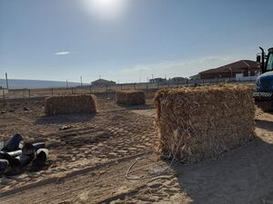 Omeranli Umut Ormani - 07 Malc Balyalari 2.jpg