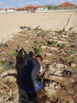 21/10/2022 — Dikimlerin başlaması