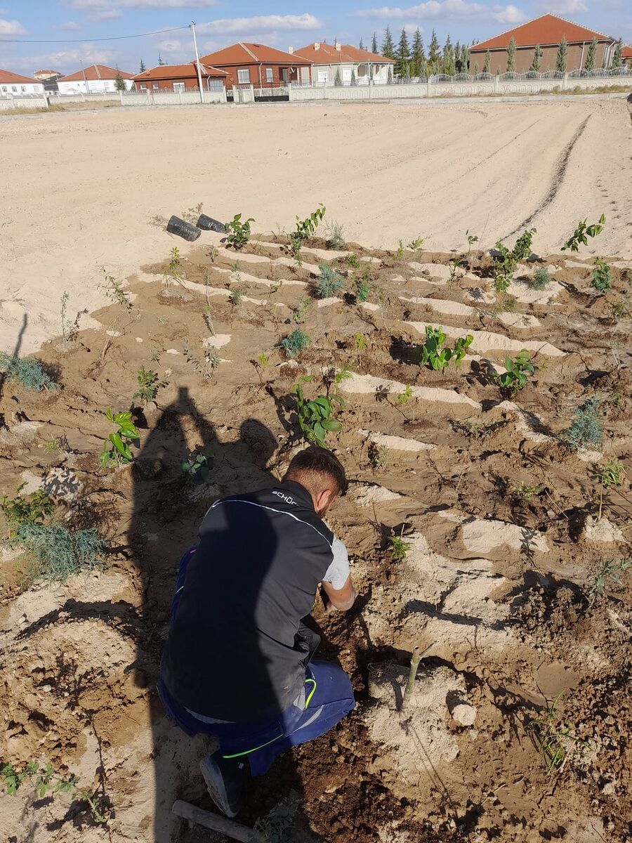 Ömeranlı Umut Ormanı kaynak görseli