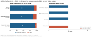 Kırklar Yaylası 1984 tablo 061.png